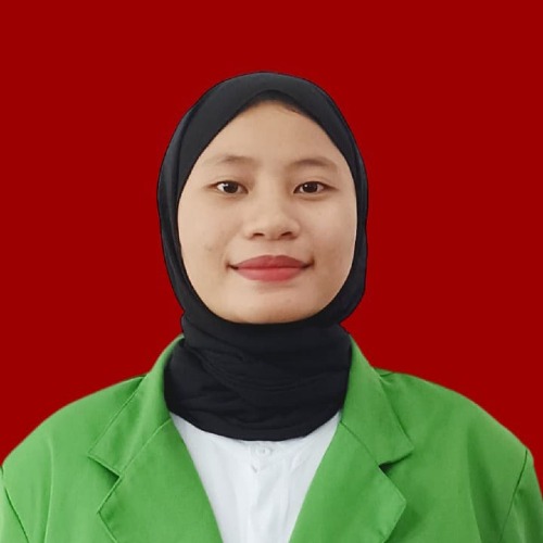 NOVADIZA BR SIMANULANG